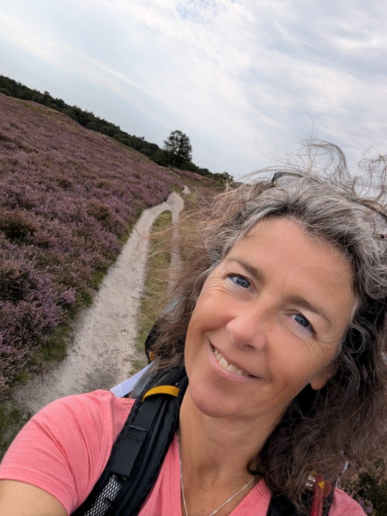 De Paarse heide in natuurpark De Drentsche Aa Pieterpad etappe 4 Zuidlaren naar Rolde