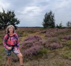 De Paarse heide in natuurpark De Drentsche Aa Pieterpad etappe 4 Zuidlaren naar Rolde