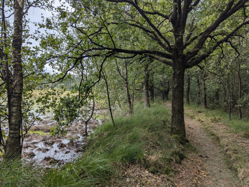 10 dagen op het Pieterpad - Wandelen in Nederland