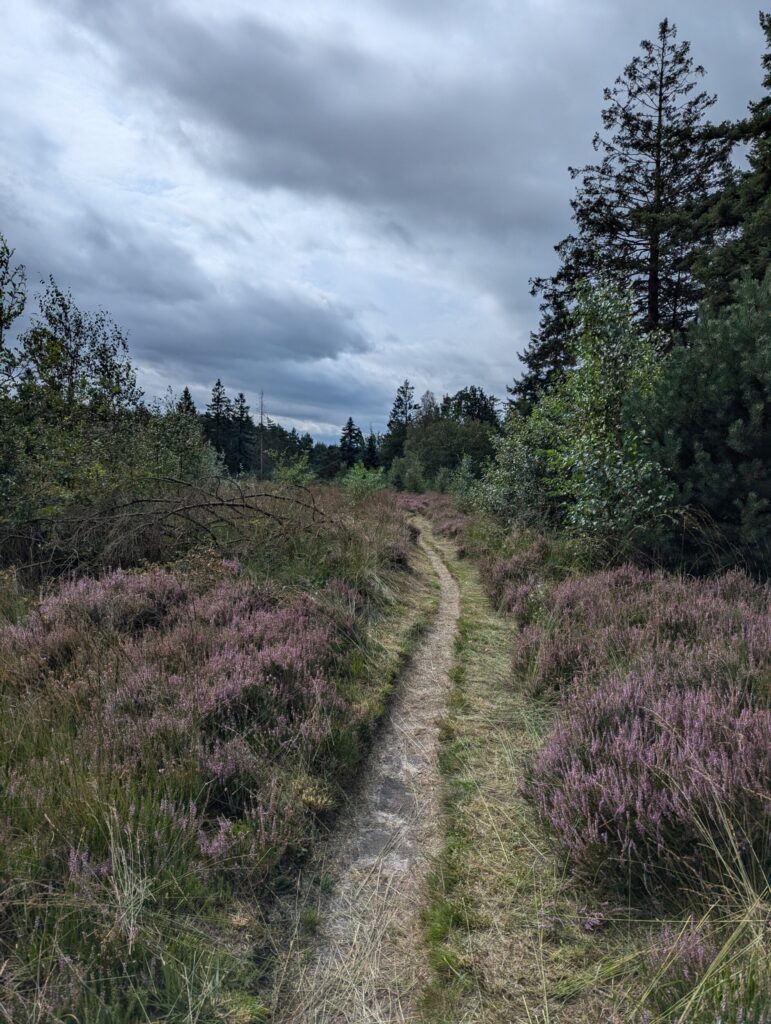 10 dagen op het Pieterpad - Wandelen in Nederland