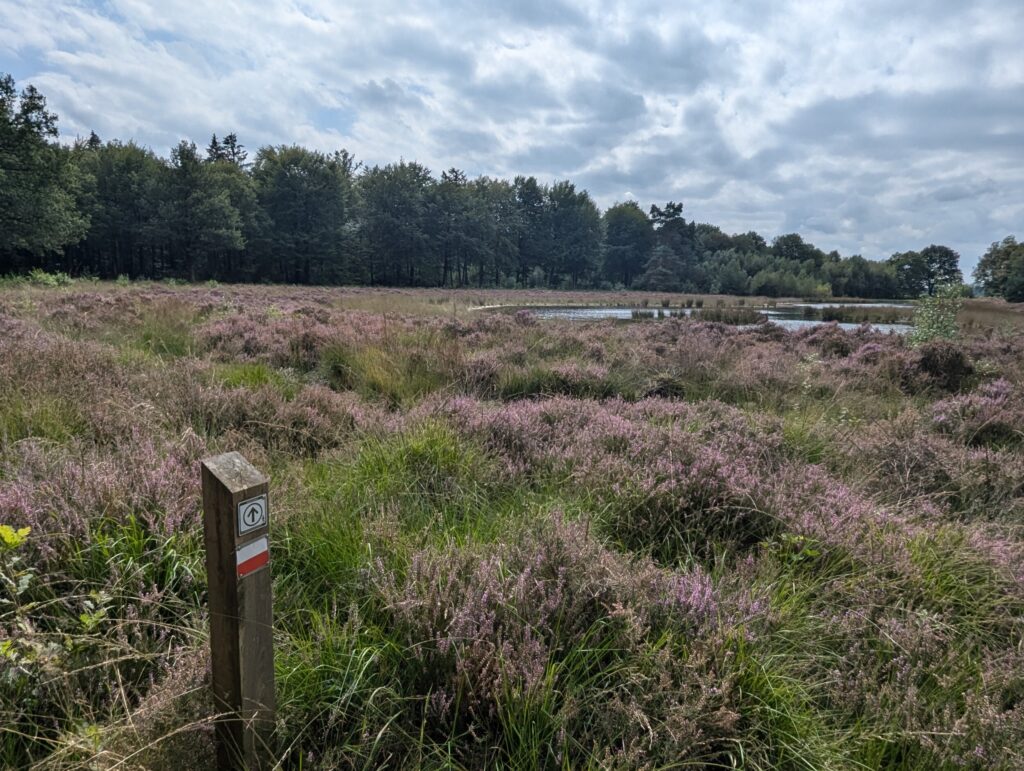 10 dagen op het Pieterpad - Wandelen in Nederland