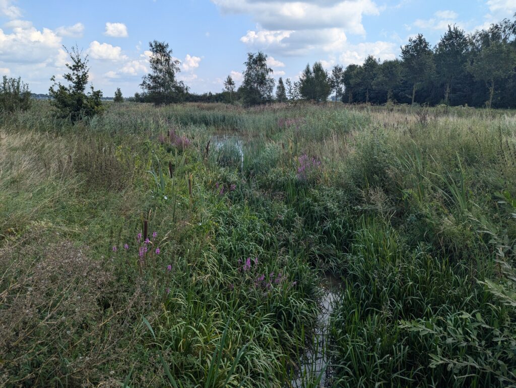 Wandelen op het Pieterpad - 10 dagen pelgrimeren in Nederland