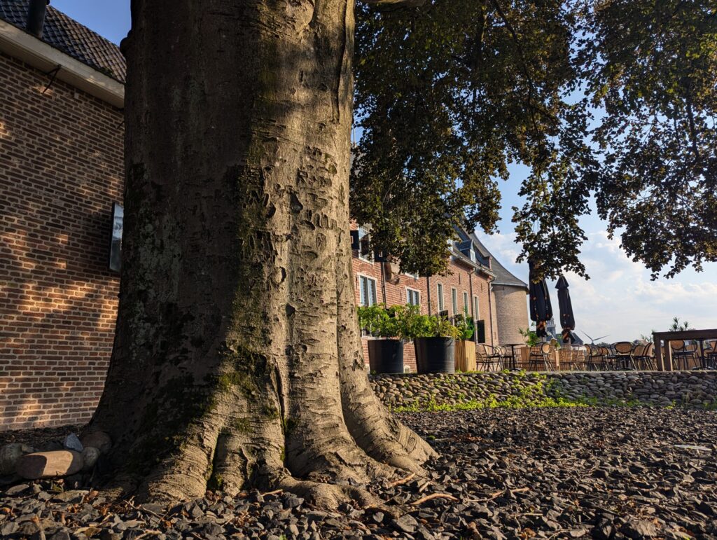 Wandelen op het Pieterpad - 10 dagen pelgrimeren in Nederland