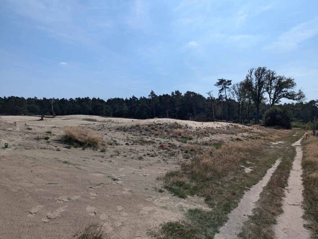 Zandverstuiving bij Junne - Onderweg op het Pieterpad