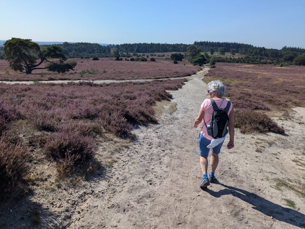 De Archemerberg op - Pieterpad