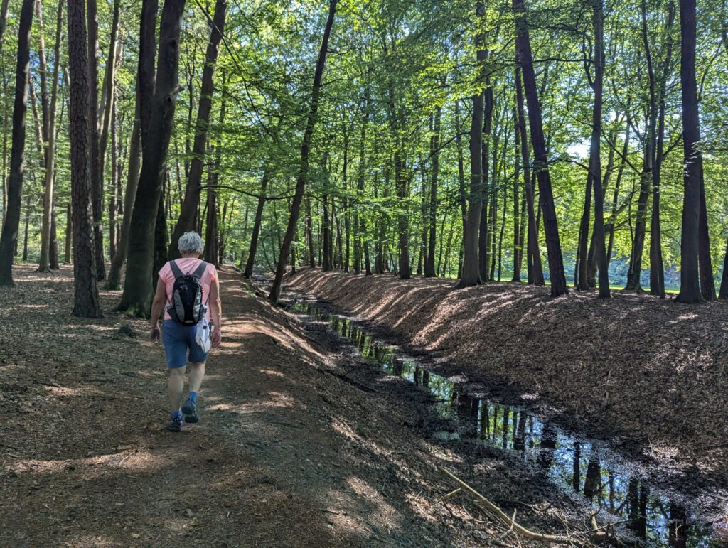 De oude Boksloot die leidt naar landgoed Elerberg - Pieterpad Hellendoorn