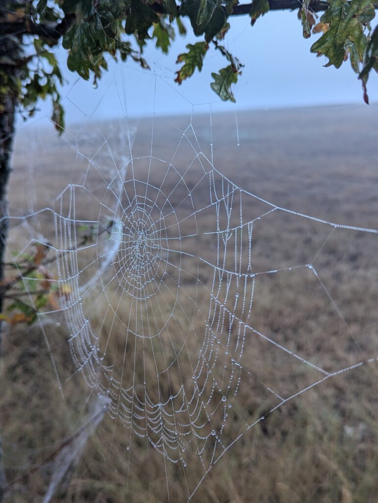 Dag 5 - Portomarin naar Palas de Rei - 25km