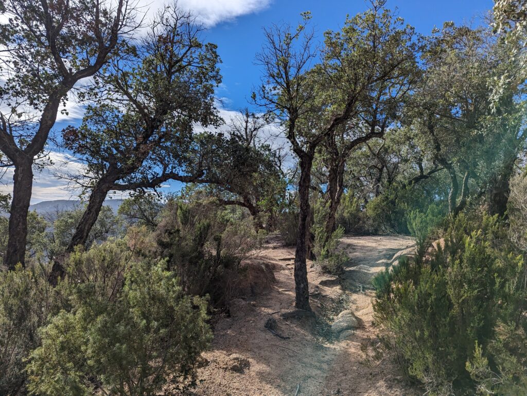 Wandelen langs de Catalaanse kust - Costa Brava, Spanje