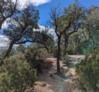 Wandelen langs de Catalaanse kust - Costa Brava, Spanje