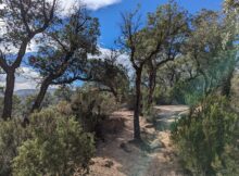 Wandelen langs de Catalaanse kust - Costa Brava, Spanje