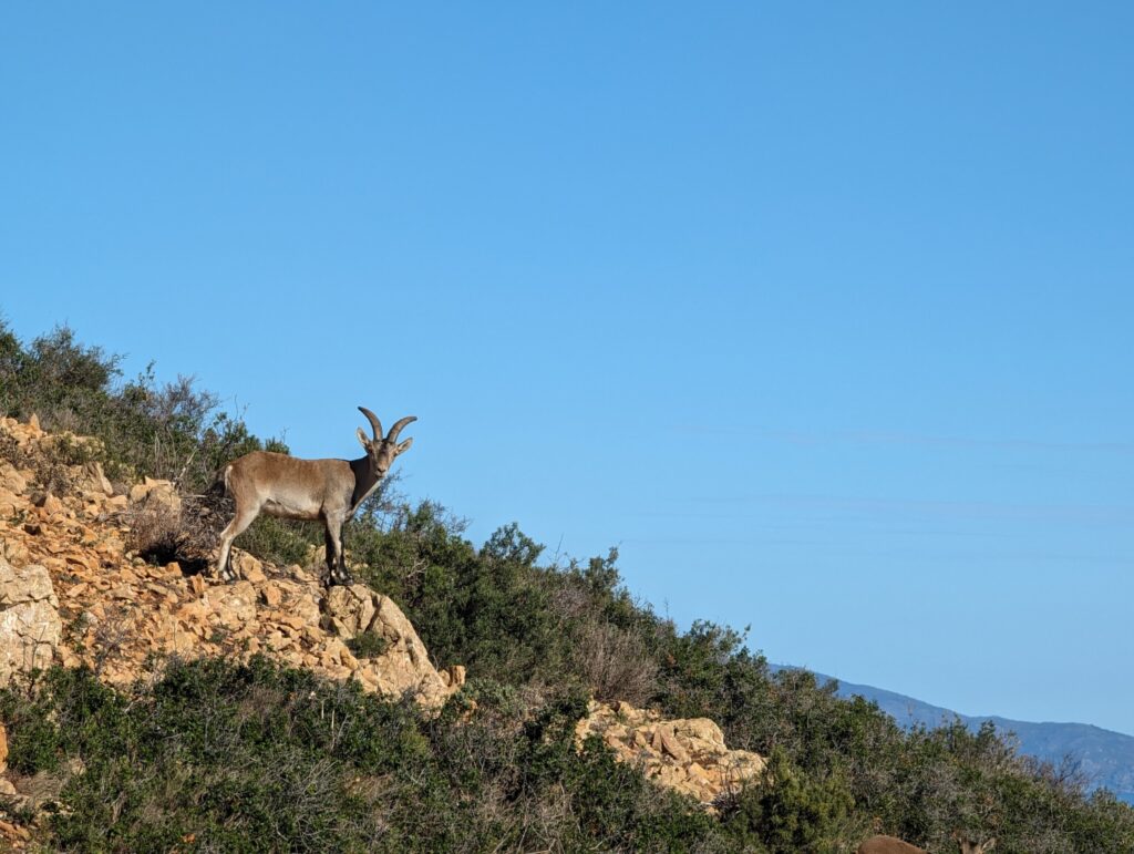 Wandelen langs de Catalaanse kust - Costa Brava, Spanje