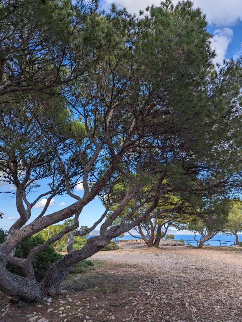 Torroella de Montgri to L'escala - 20 km - Hiking on the GR92 Camino de Ronda - Spain