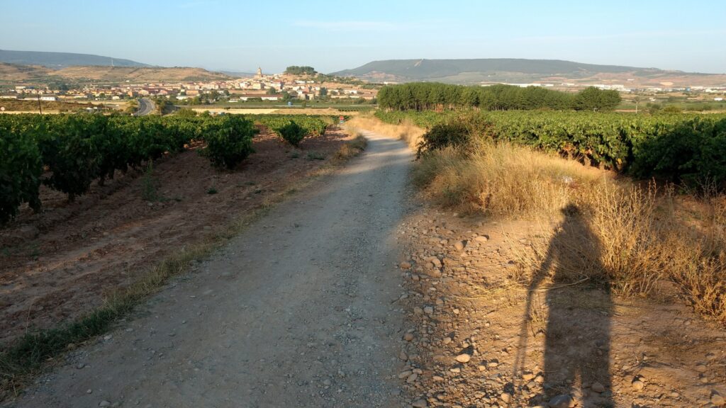 Camino de Santiago alleen lopen? Je bent er nooit alleen