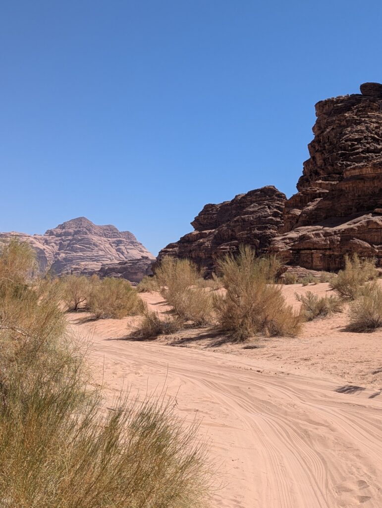 De magische Wadi Rum woestijn - Wat te zien in de Wadi Rum