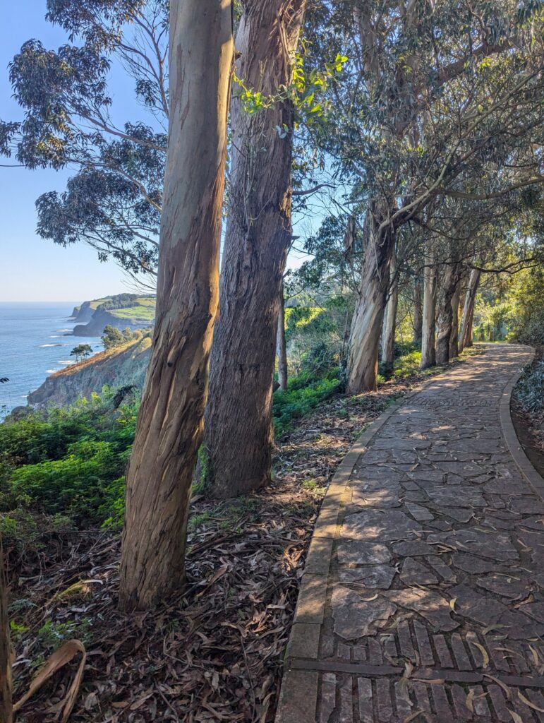 Prachtige wandeling Senda del Cerigon vanuit Gijon - Asturie, Spanje