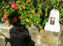 Alleen de camino de Santiago lopen? Alles over de camino de Santiago - Spanje