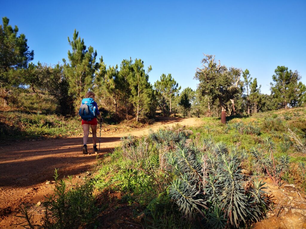 Reistrend in 2025 - Wandelen in de natuur, verbinden met de natuur