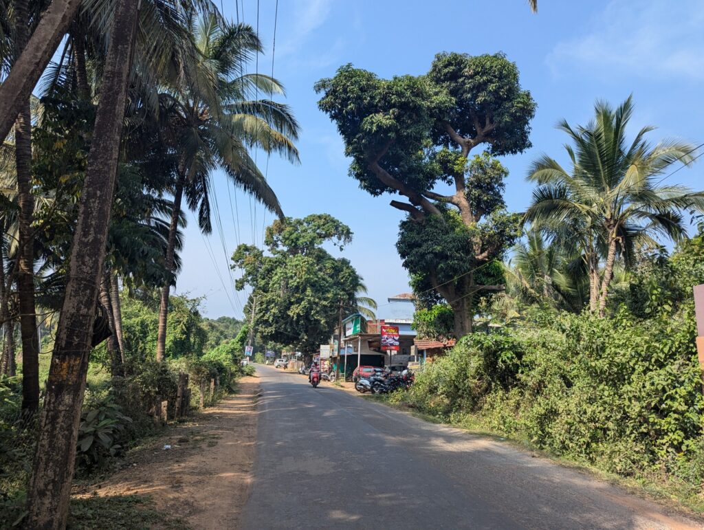 Groene staat Goa - Weg net iets landinwaarts