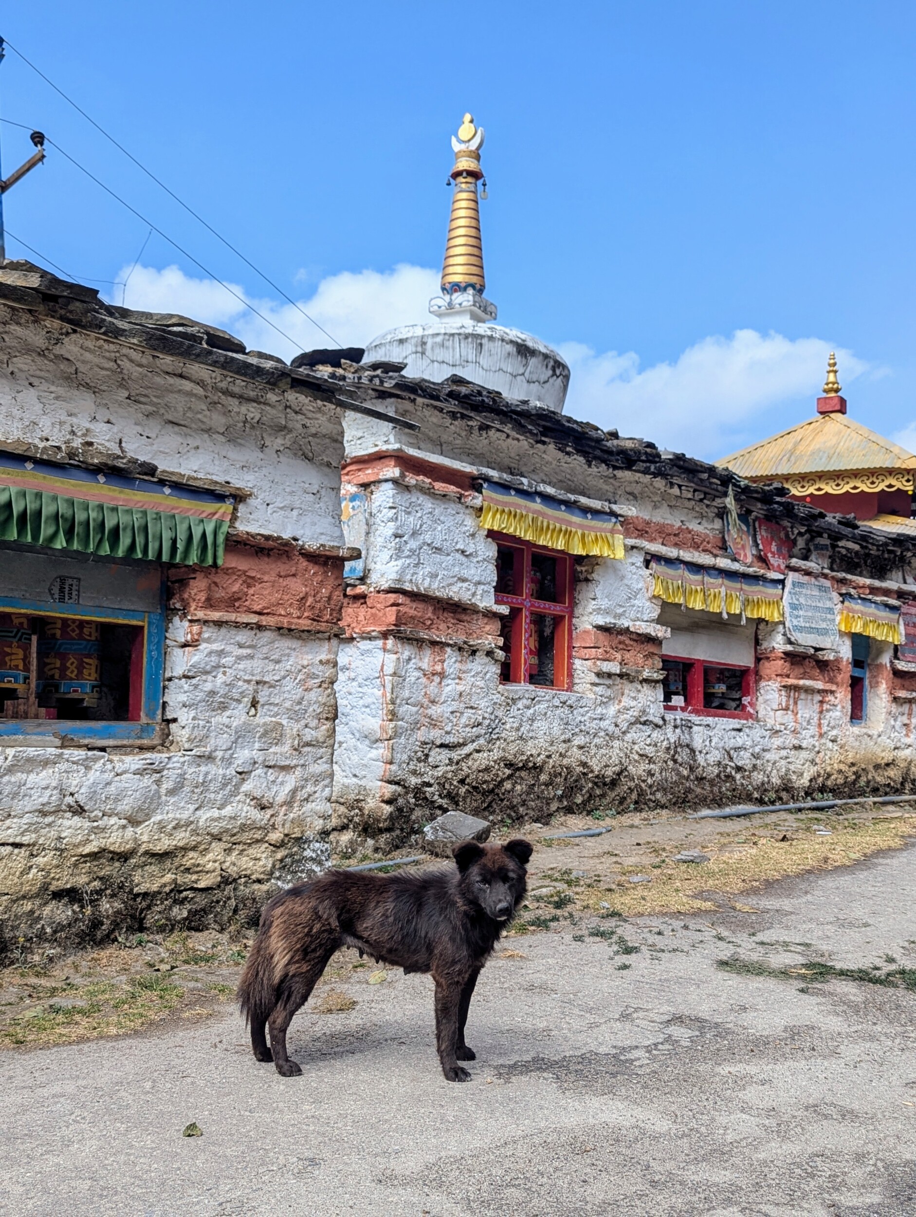 Ergens onderweg in Arunachal Pradesh, India