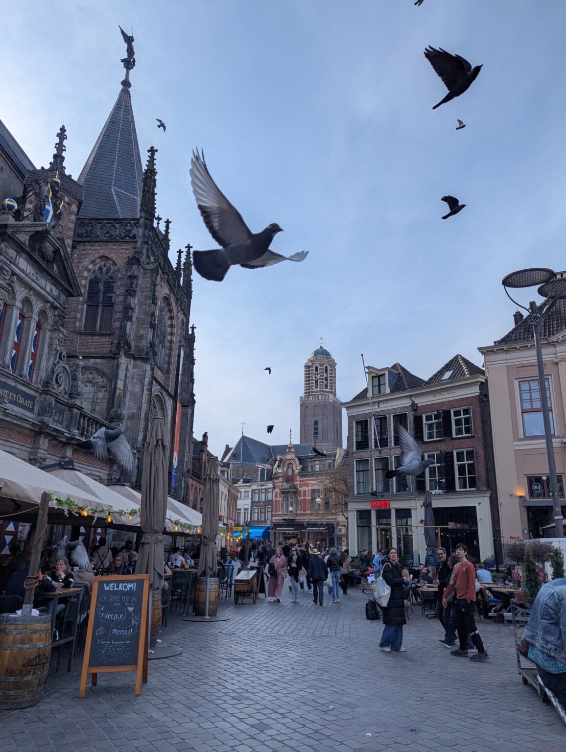 Mogliche Aktivitaten In Zwolle