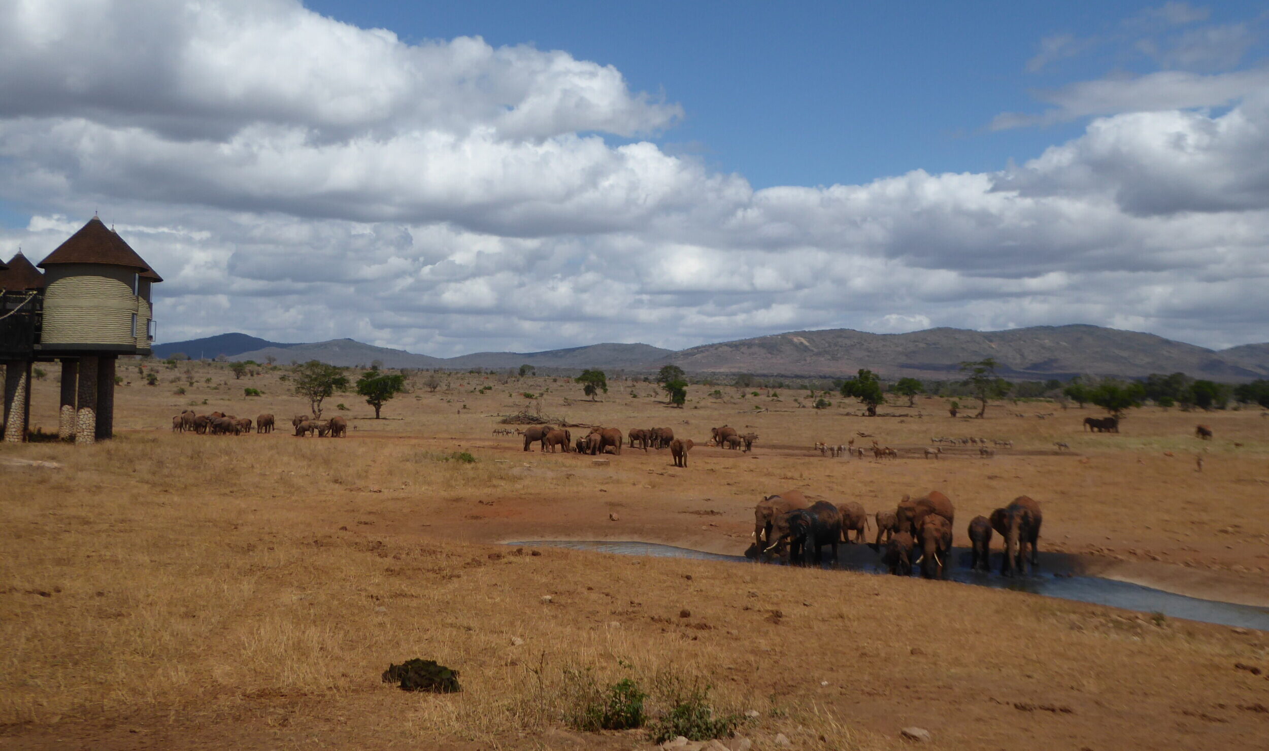 Rondreis Kenia 12 dgn Zinvol Reizen en Off Track Travel