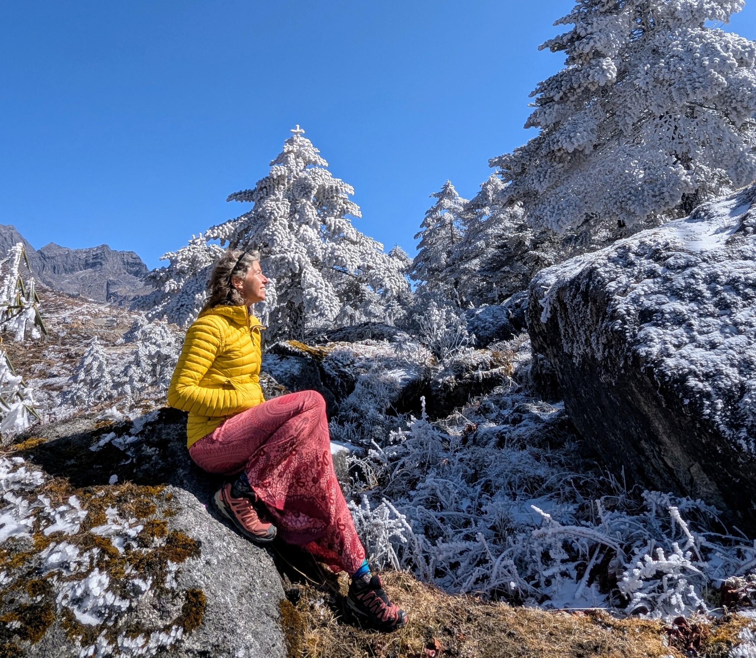 Besneeuwde toppen in Sela Pass - Arunachal Pradesh, India