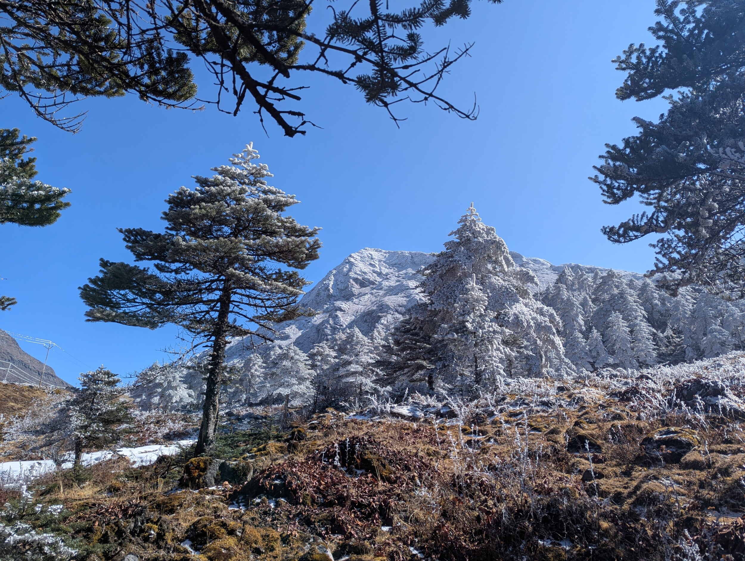 Sela Pass - Sneeuw en blauwe lucht - Arunachal Pradesh - Tawang Bezoeken