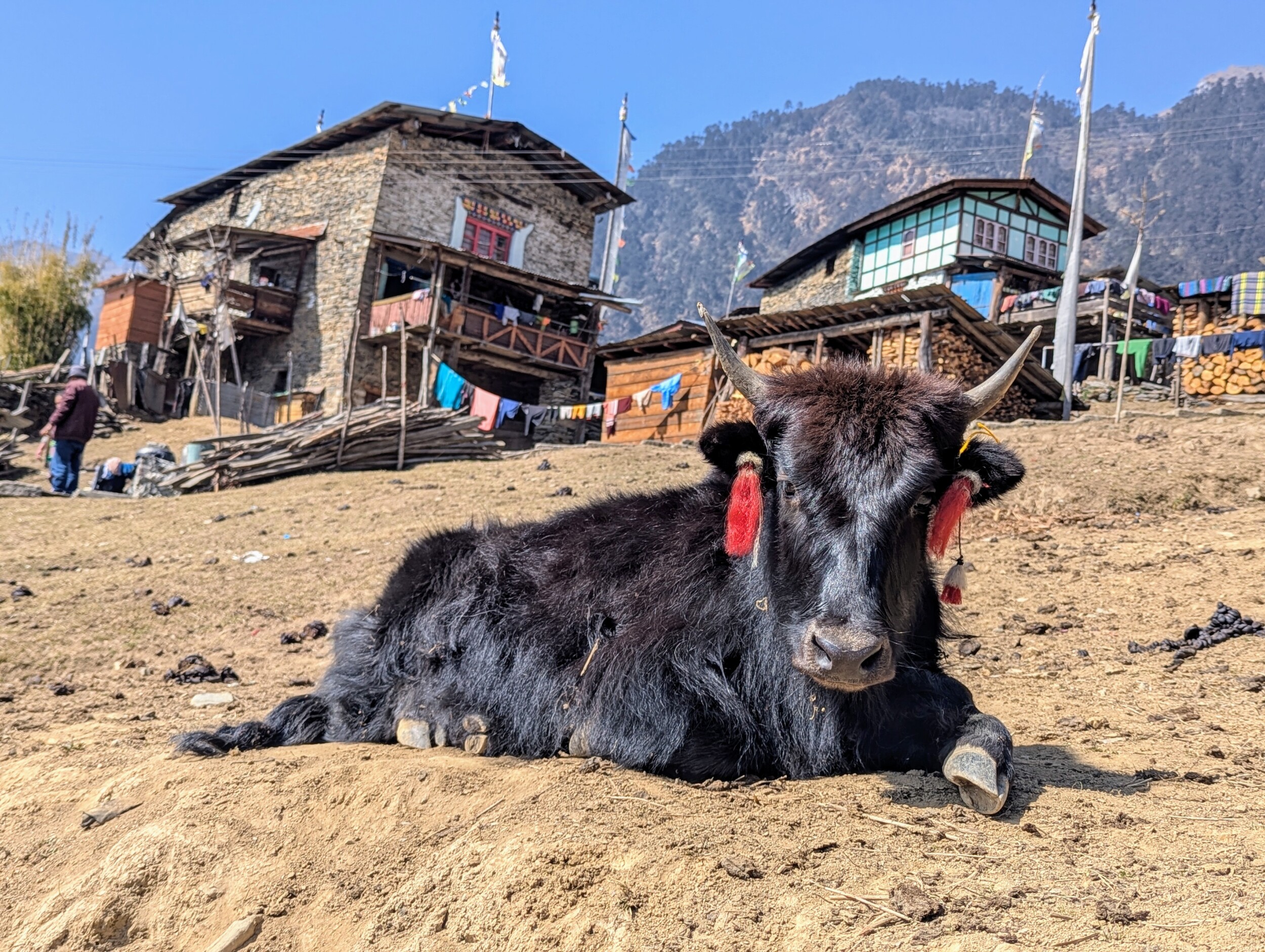 Thingbu Arunachal Pradesh Tawang Bezoeken