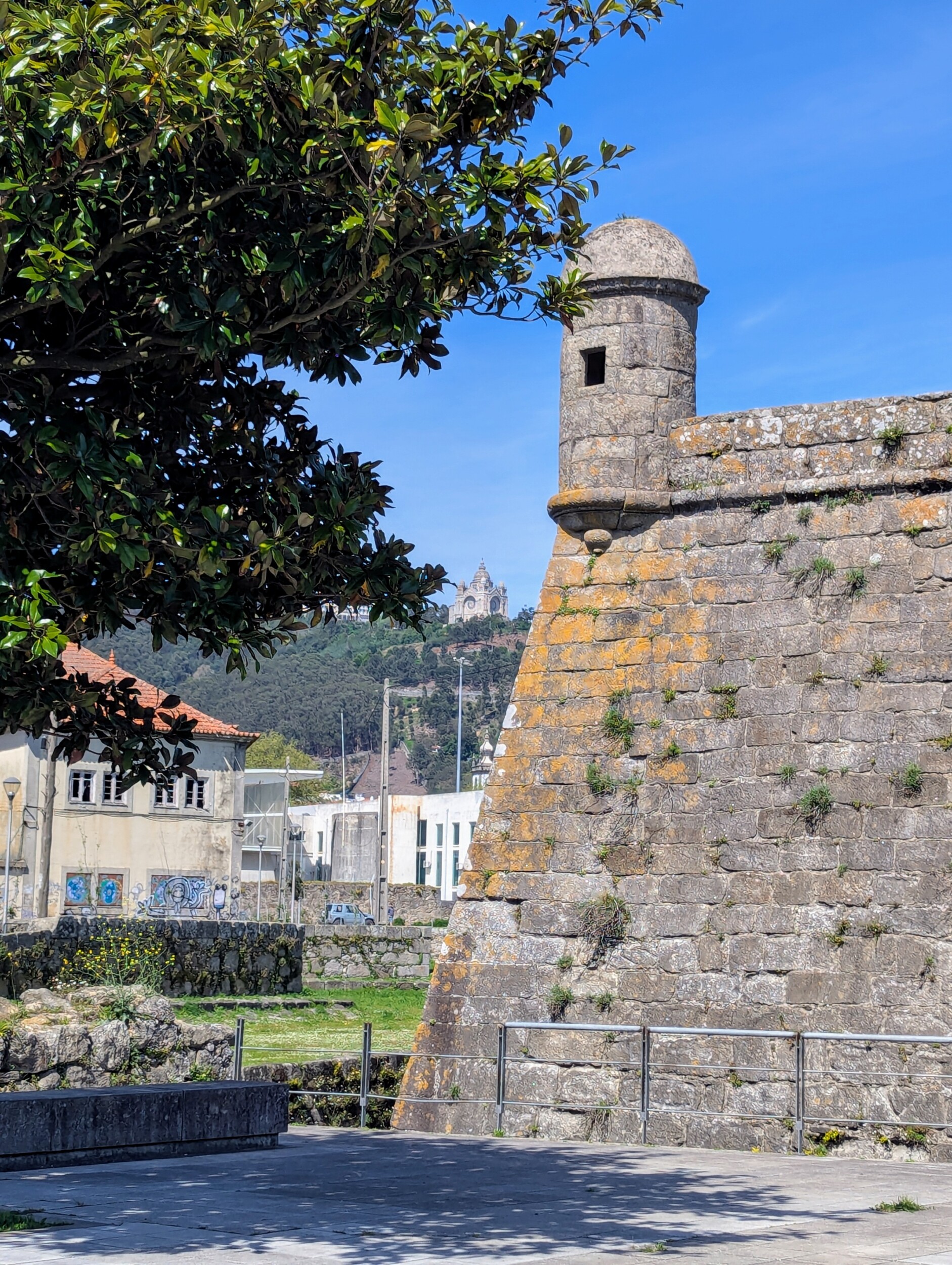 Forte - Wandel de Camino Portugese en ontdek Viana do Castelo's mooiste plekjes