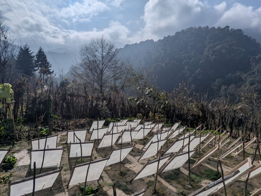Papier maken in Mukto - Arunachal Pradesh, India