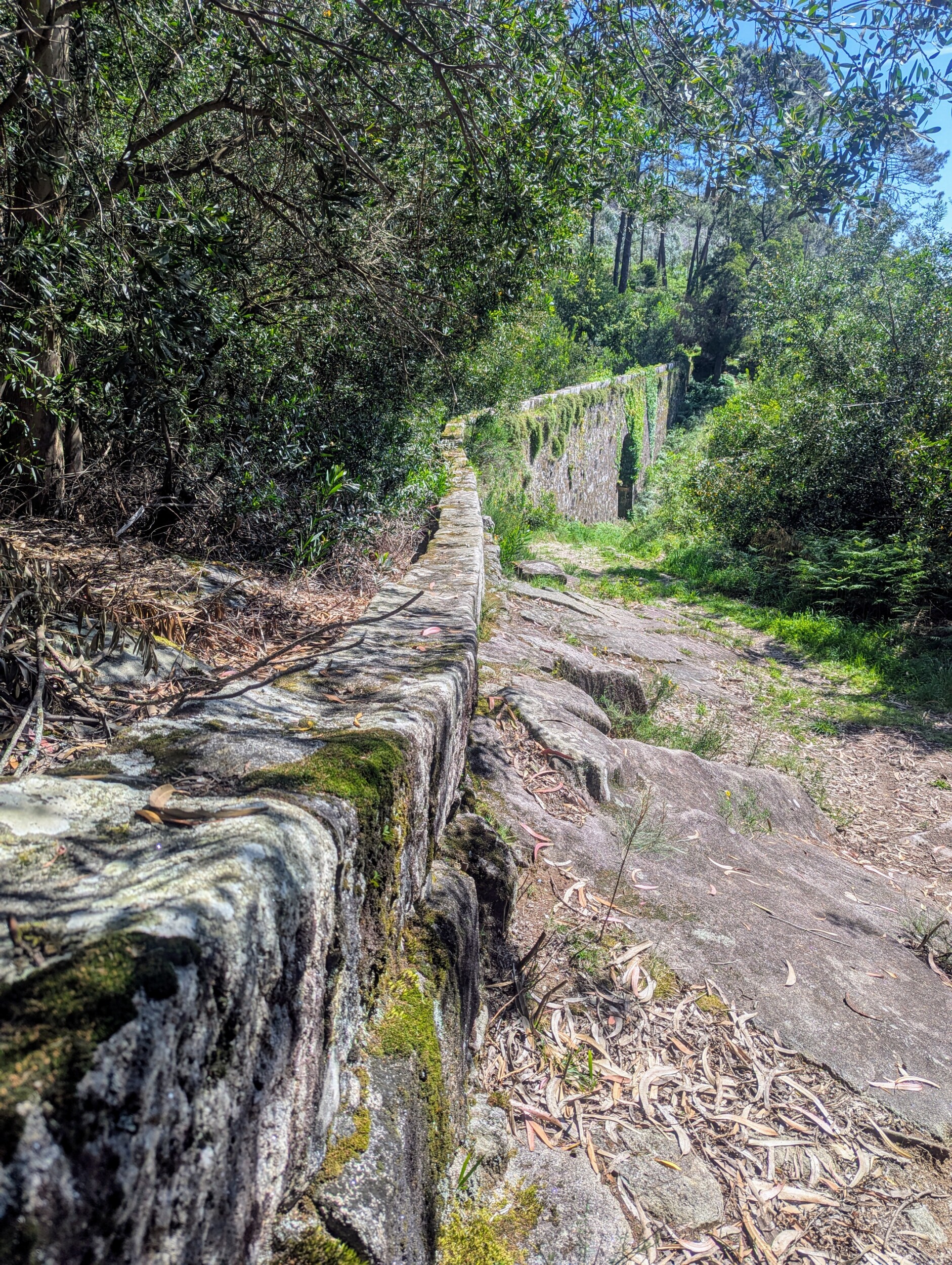 Waterweg bij Viana do Castela - Portugal