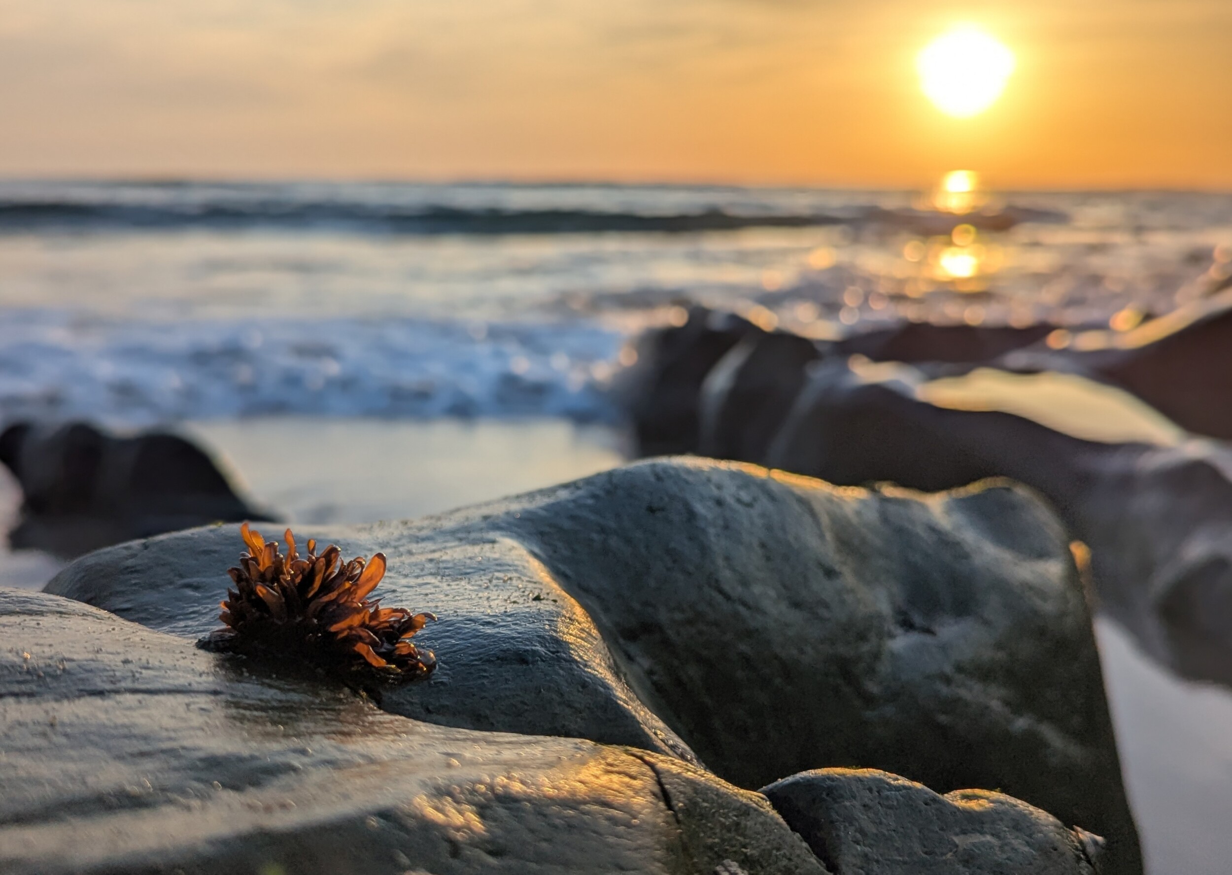 Last Minute Zomervakantie 2025 - budgetvriendelijke zomervakantie tips