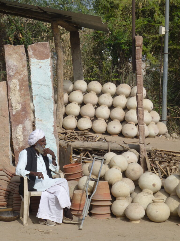 Rondreis Rajasthan - Thar Woestijn