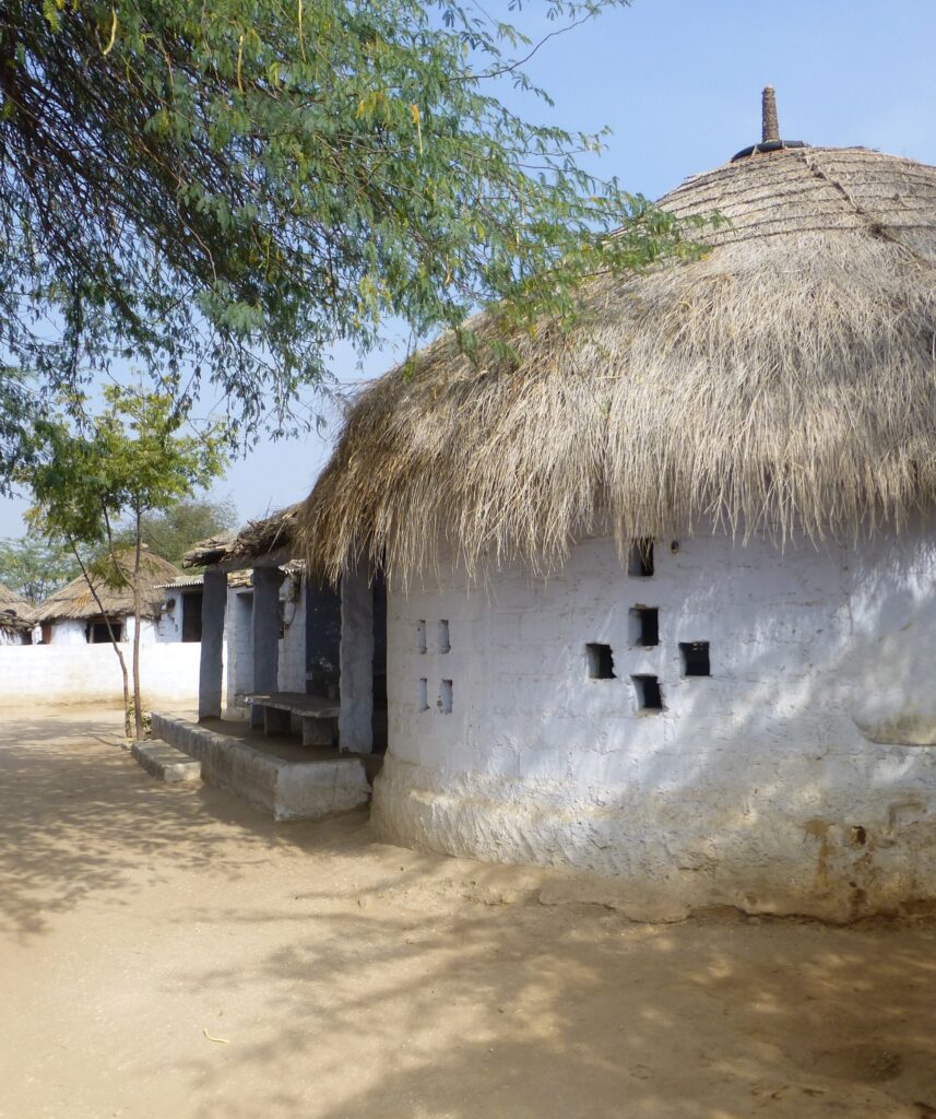 Rondreis Rajasthan - Thar Woestijn