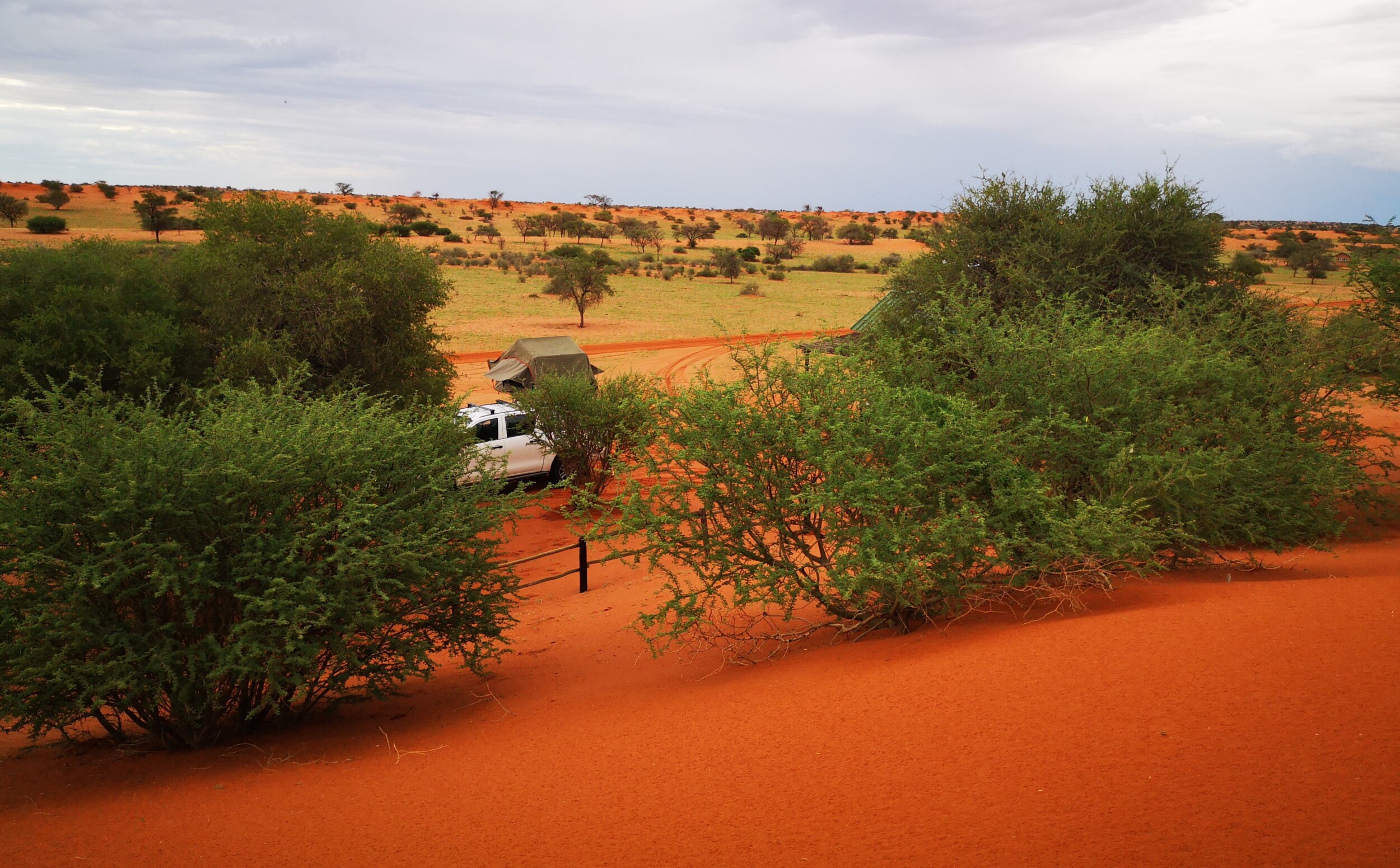 Bagatelle Kalahari Game Ranch - Namibie