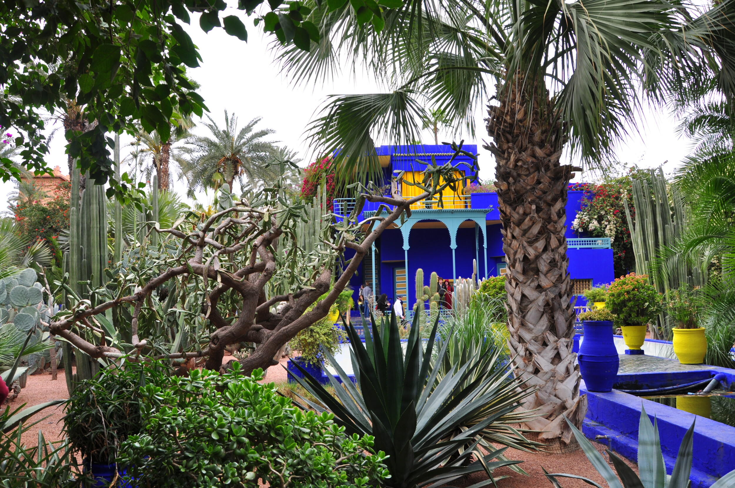 Jardin Majorelle Marrakech - Marokko