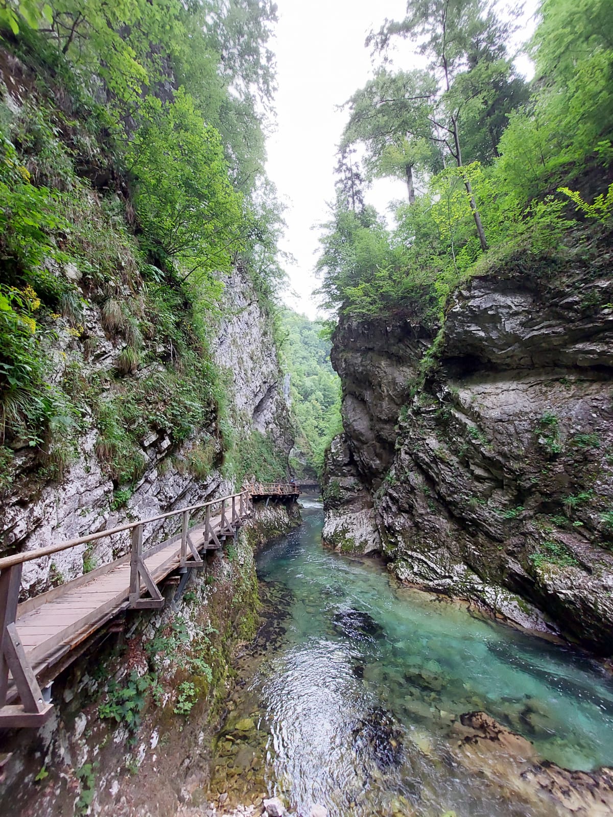 Green Destionation of the World - Slovenie