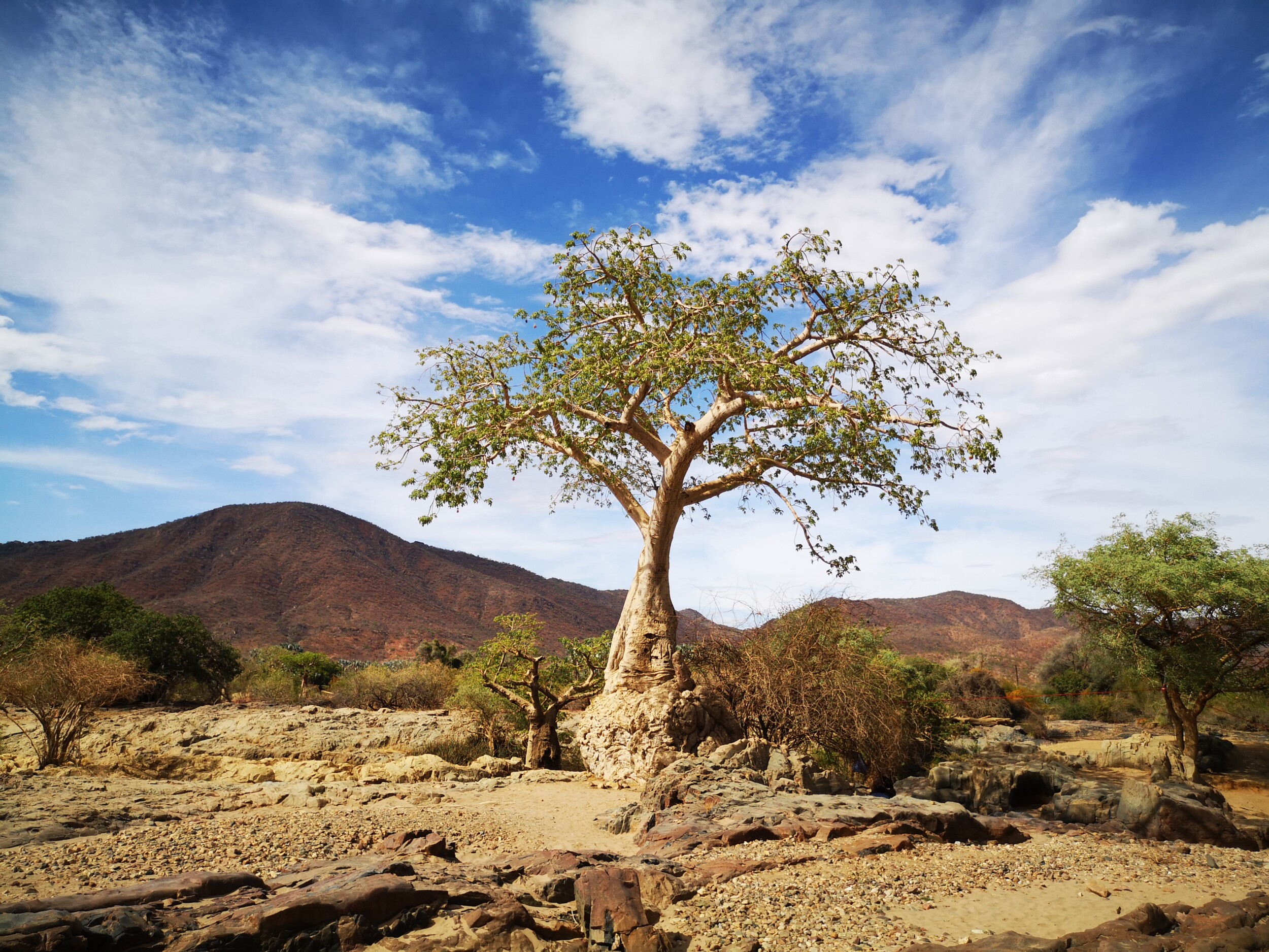 Surrealistisch landschap - Namibie