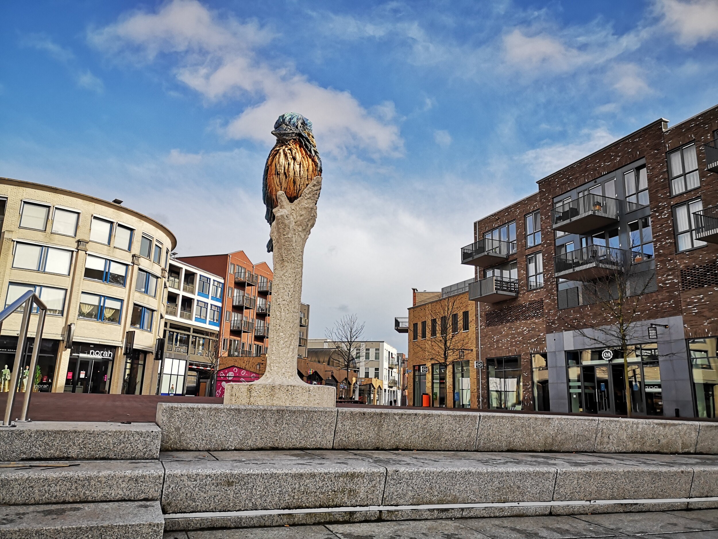 Ijsvogel - Kunst in Almelo