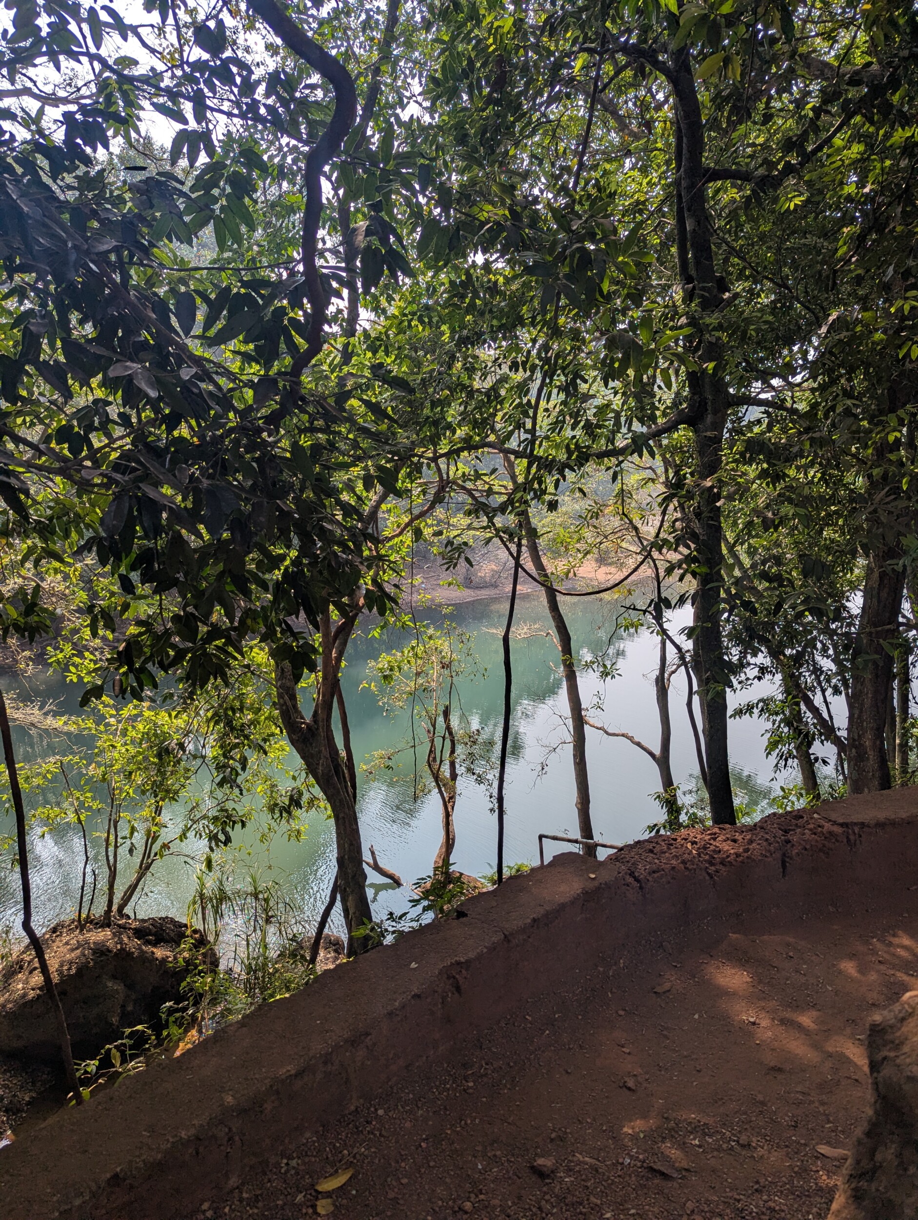 De weg naar de Dudhsagar watervallen - Goa India