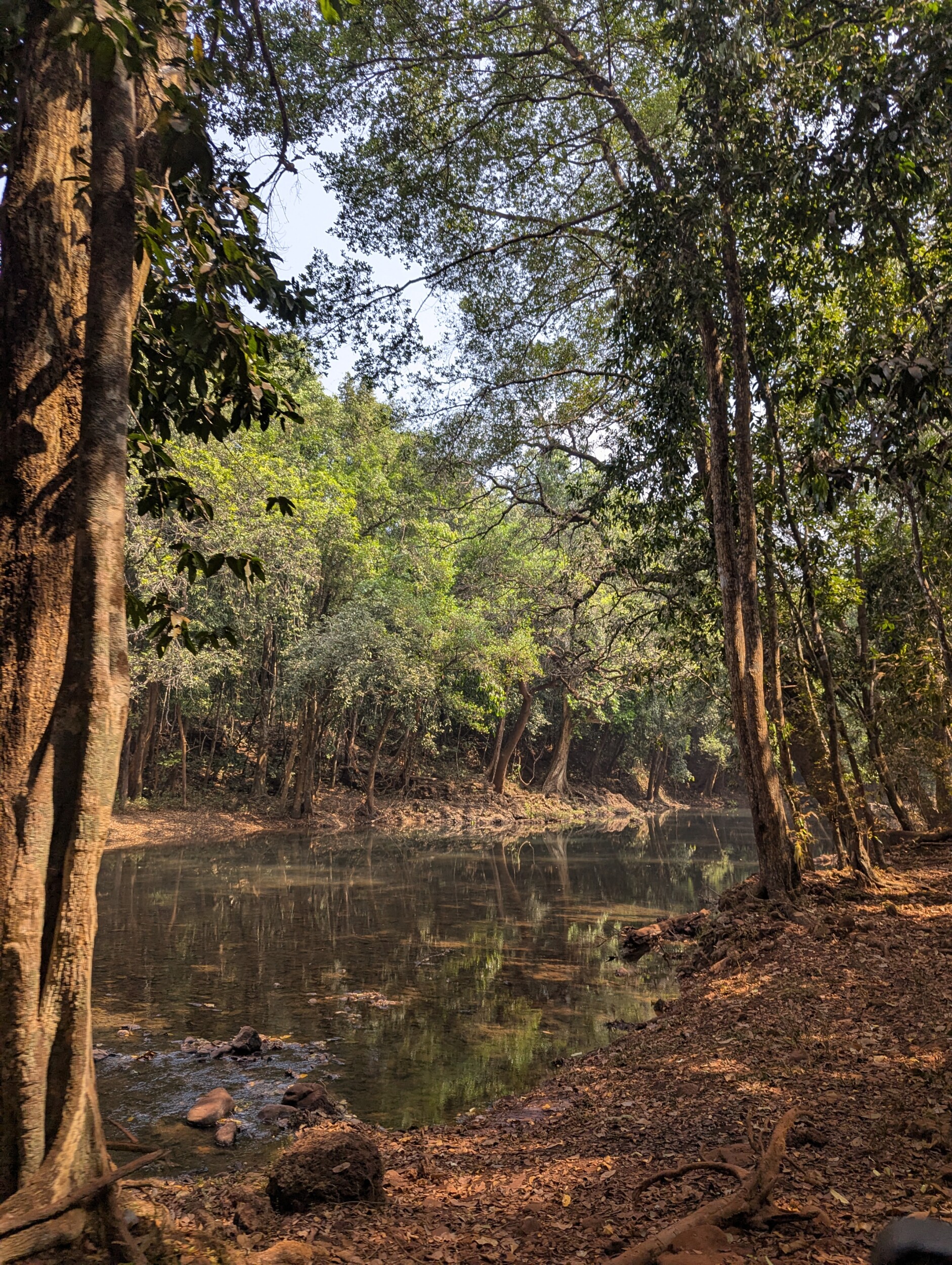 De weg naar de Dudhsagar watervallen - Goa India