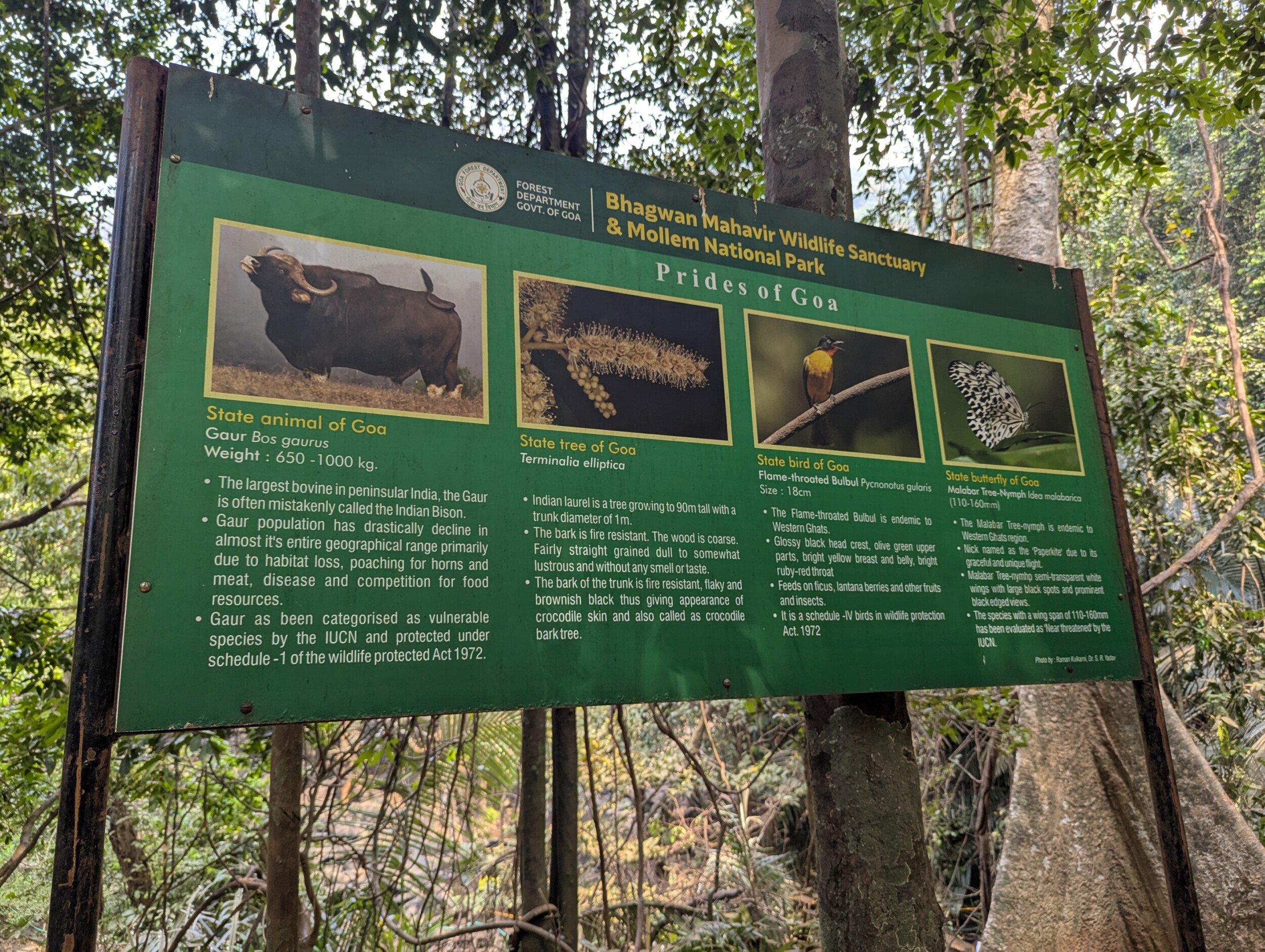 Natuurschoon in Goa India nabij Dudhsagar Falls