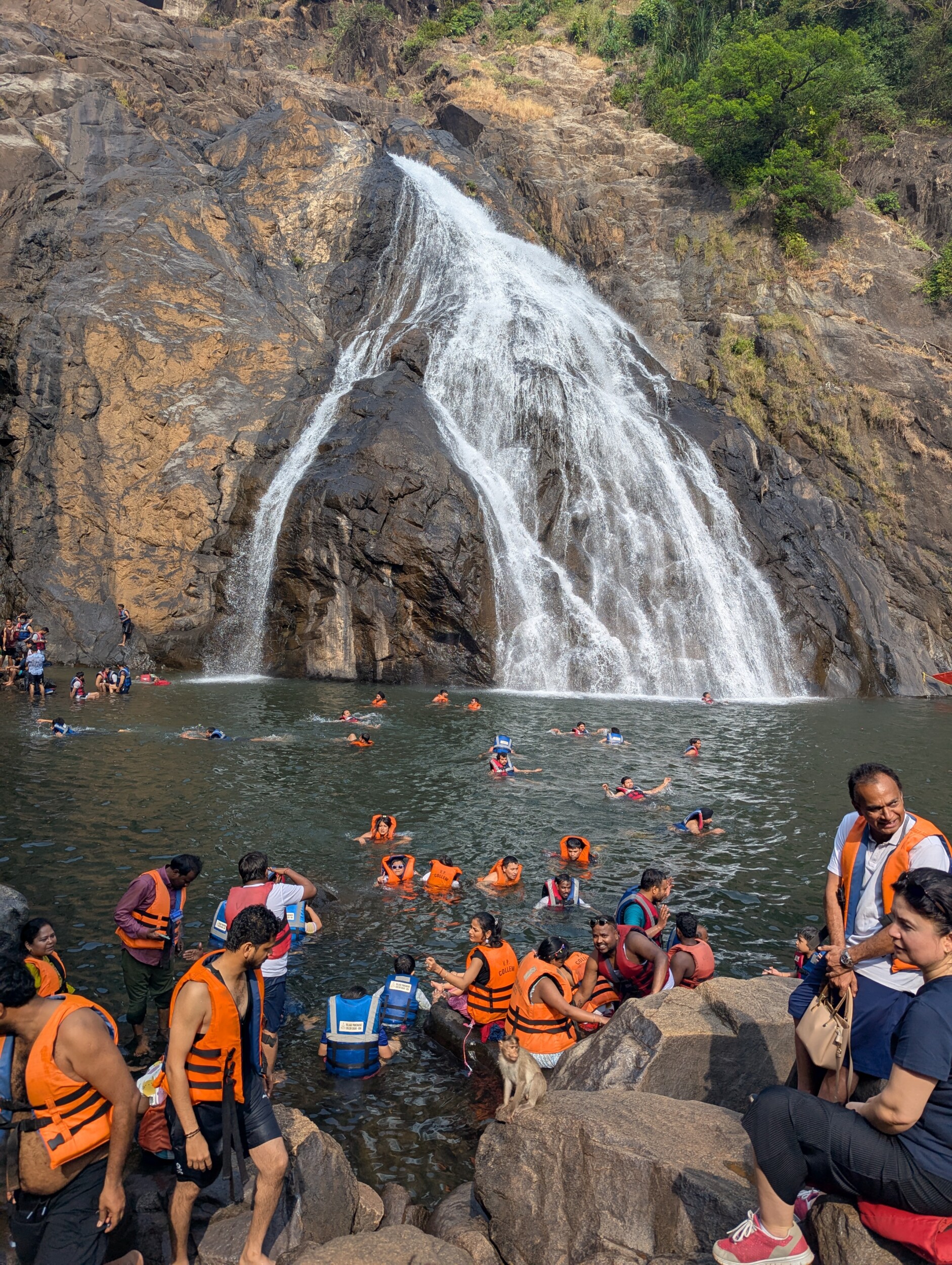 Veiligheidsvesten worden gedragen bij Dudhsagar watervallen - Goa India