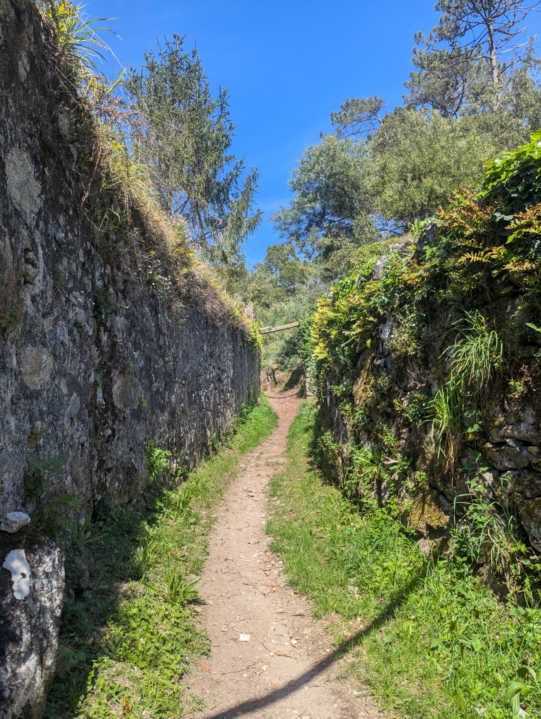 Arcos do Fincao - Viana do Castelo, Portugal
