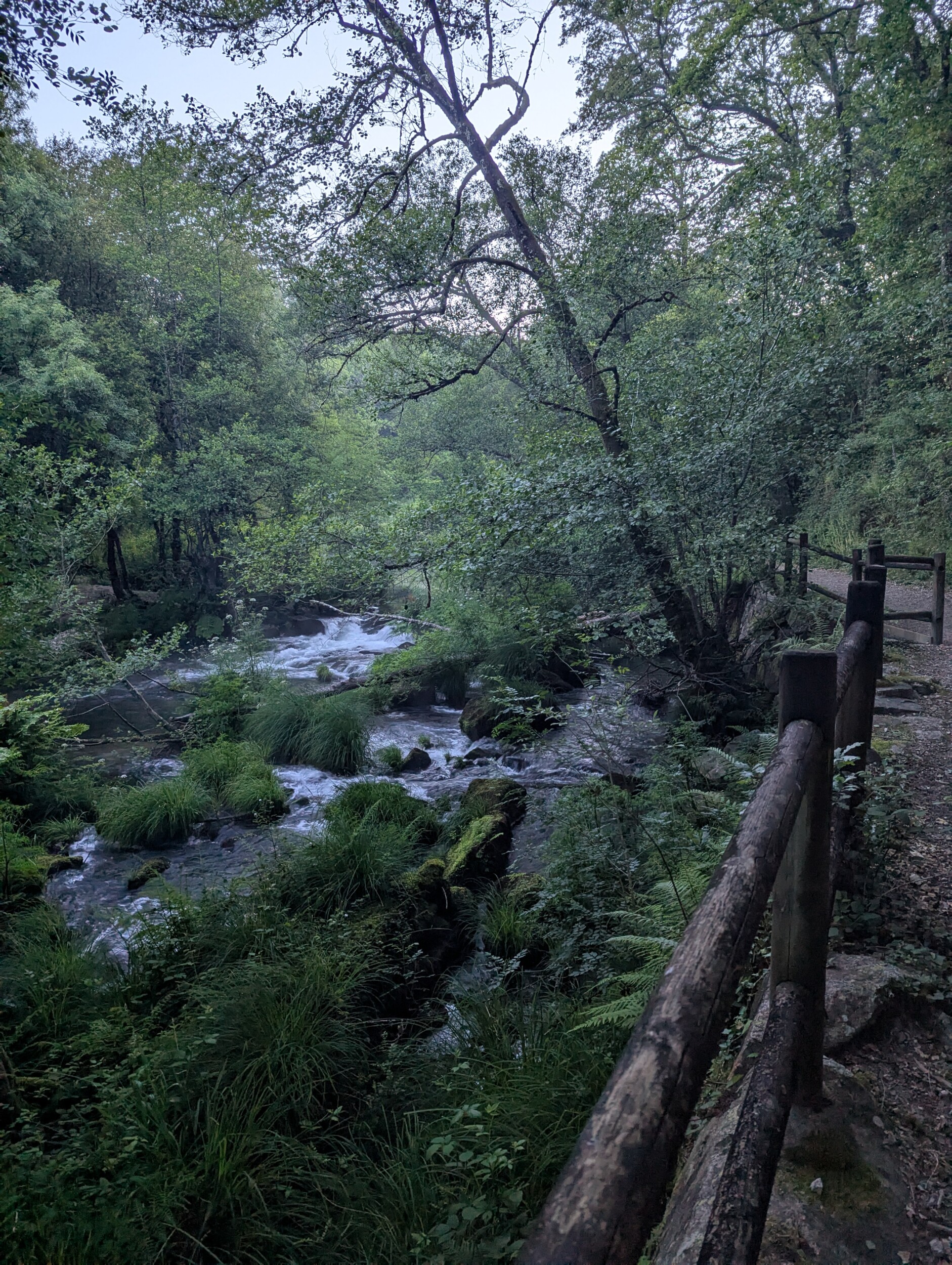 De complementario - Camino Finisterre, Spanje