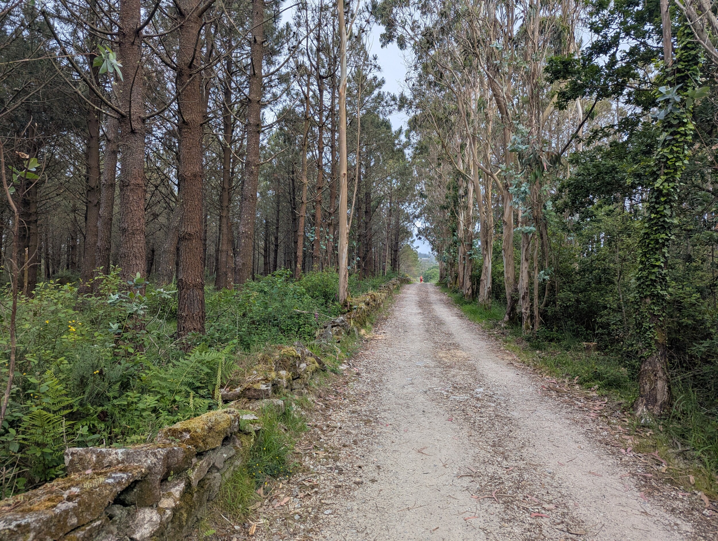 Lange wegen op de Camino Finisterre