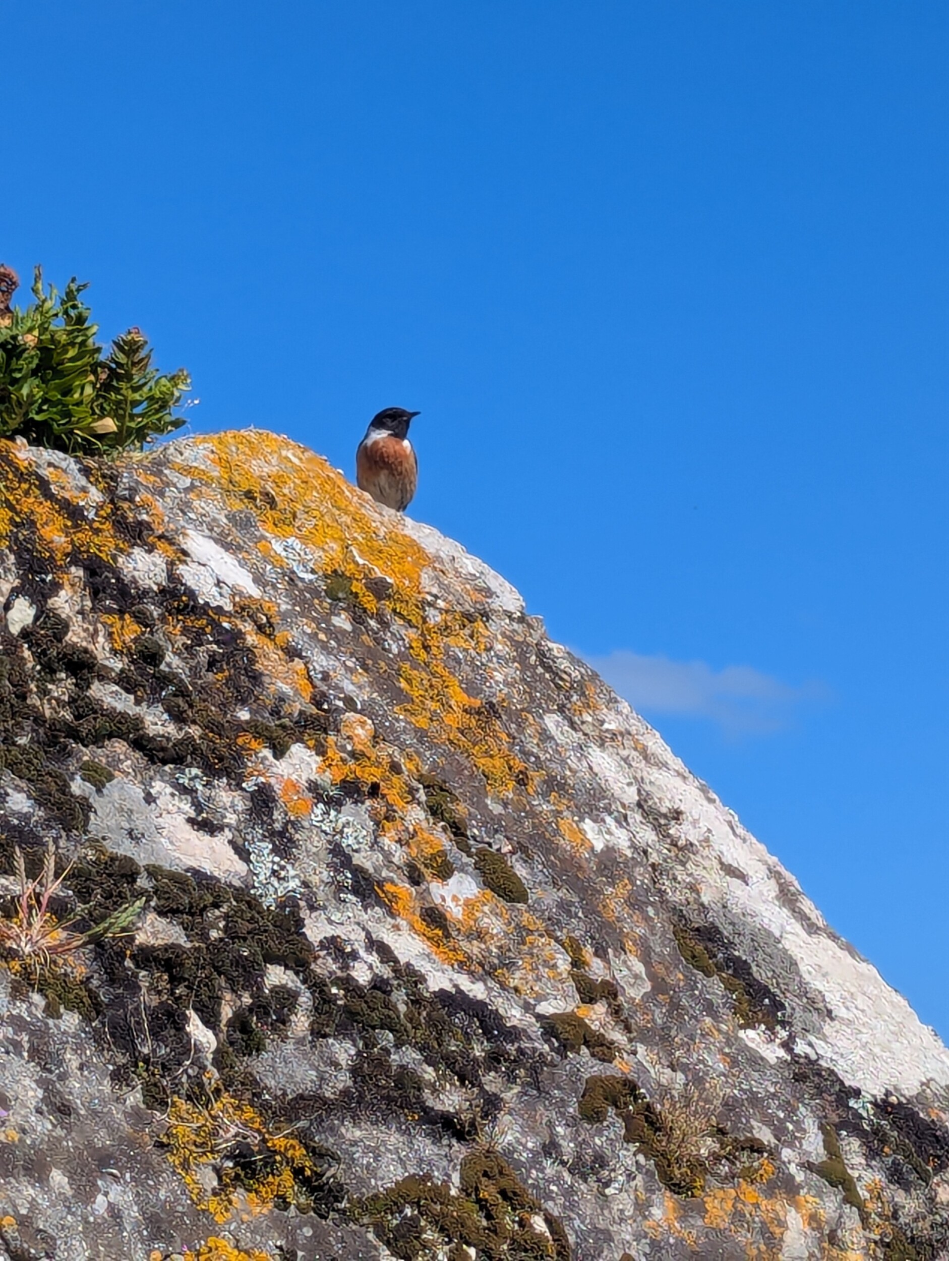 Muxia, einde van de Camino Fisterra - Spanje
