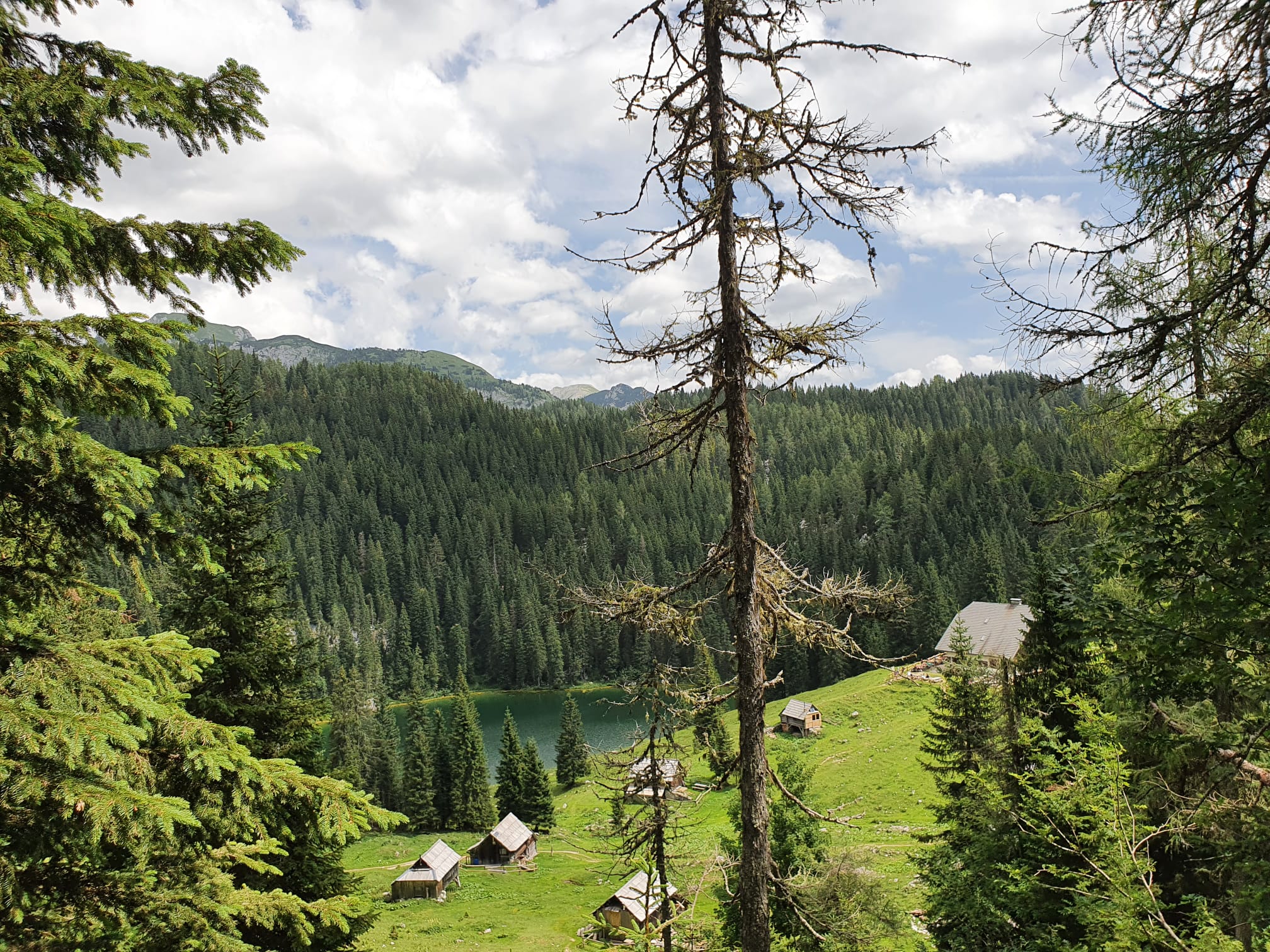 Slovenie - Het groene hart