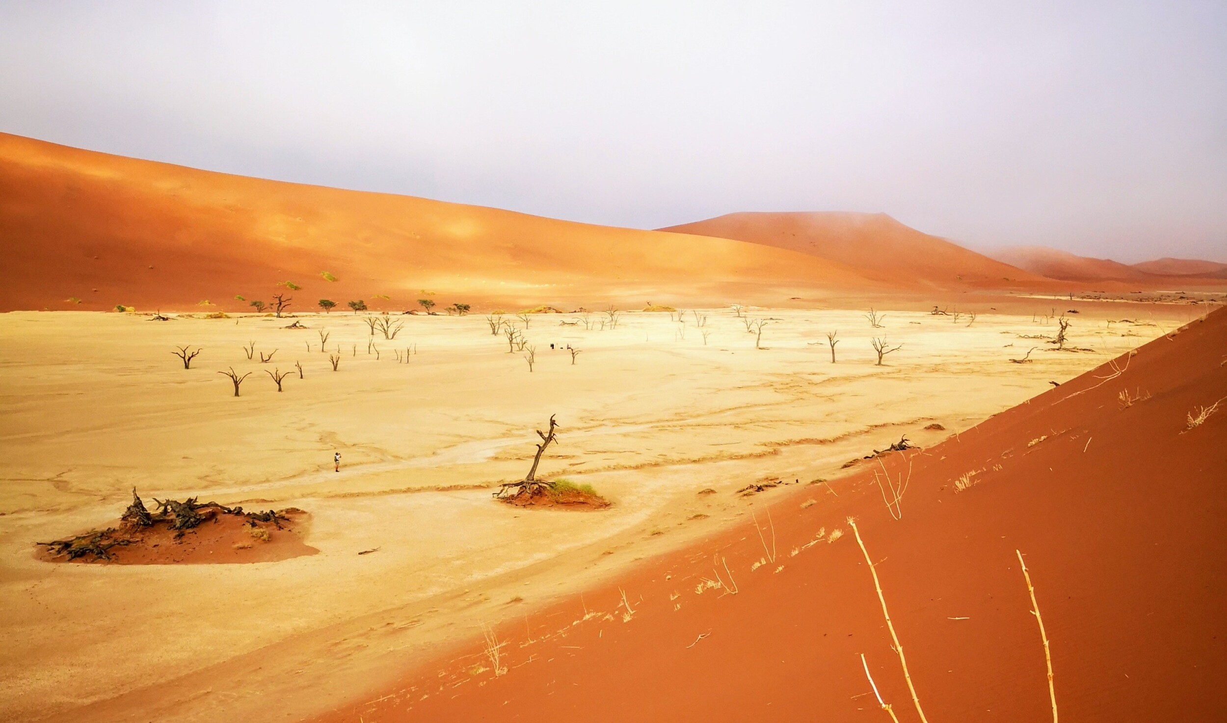 De magische Sossusvlei in Namibië