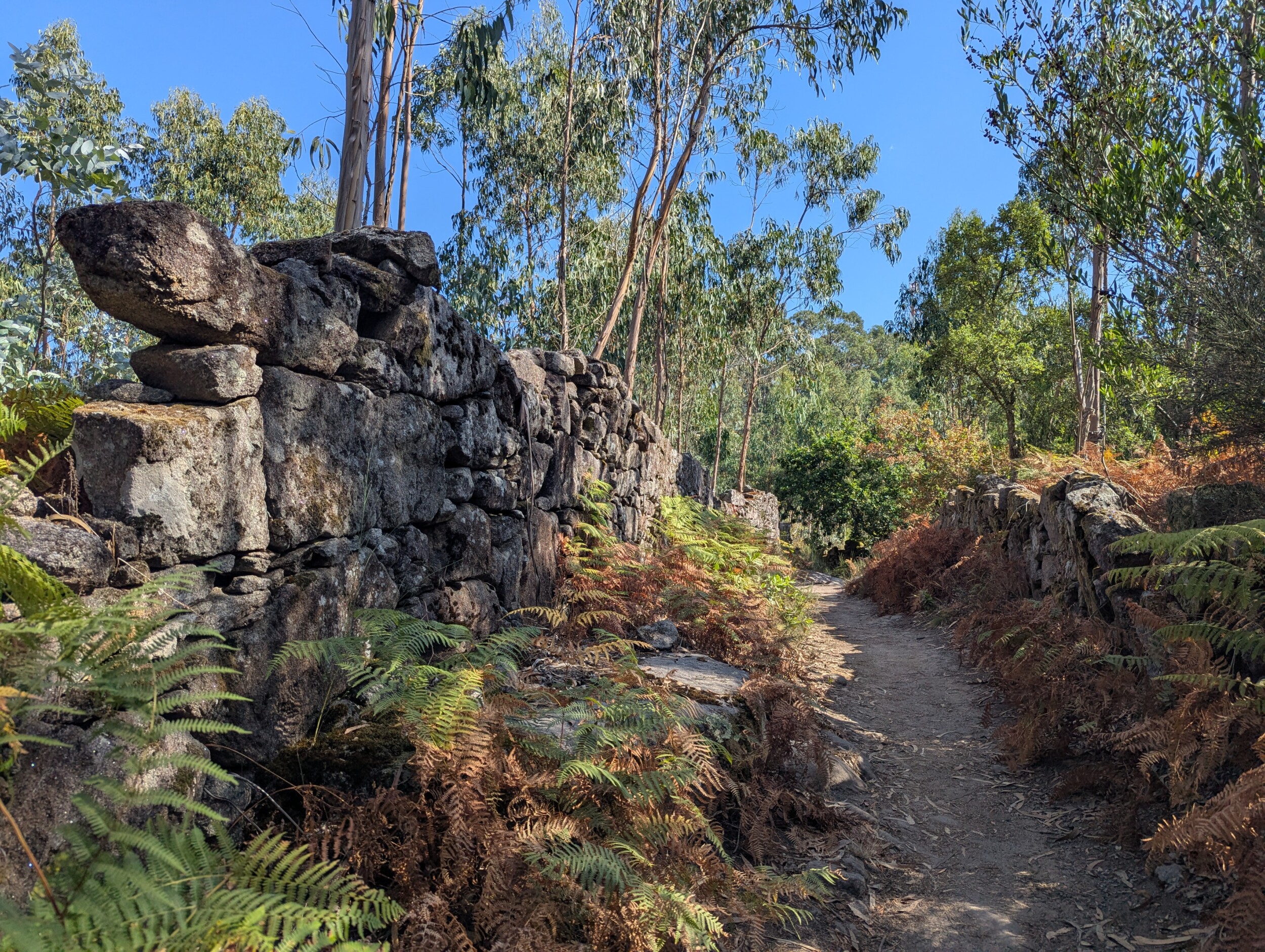 Camino Portugues Kustroute